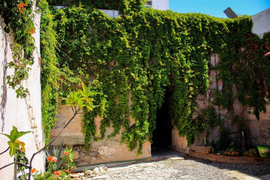 Hotel Boutique Don Porfirio imagen 24